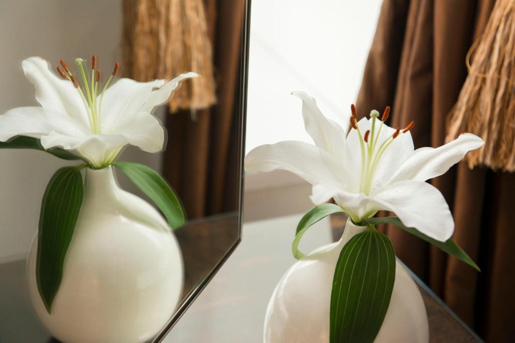 The Grange Bed & Breakfast St Austell Ngoại thất bức ảnh